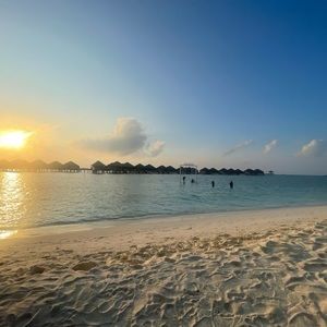 Meet your Posher, Lena